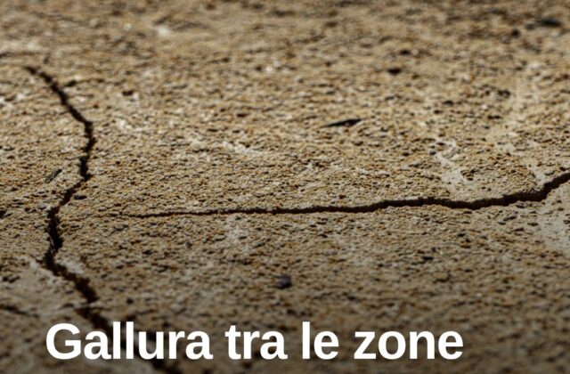 Desertificazione, la Gallura tra le zone più a rischio in Sardegna
