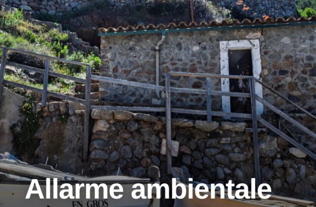 Tavolara, allarme ambientale: yacht e caldo mettono a rischio l’isola
