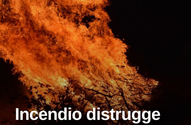 Notte di fuoco in Gallura: distrutti due furgoni e un chiosco sul mare