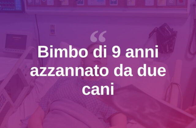 Sassari, bimbo di 9 anni azzannato al volto da due cani: operato