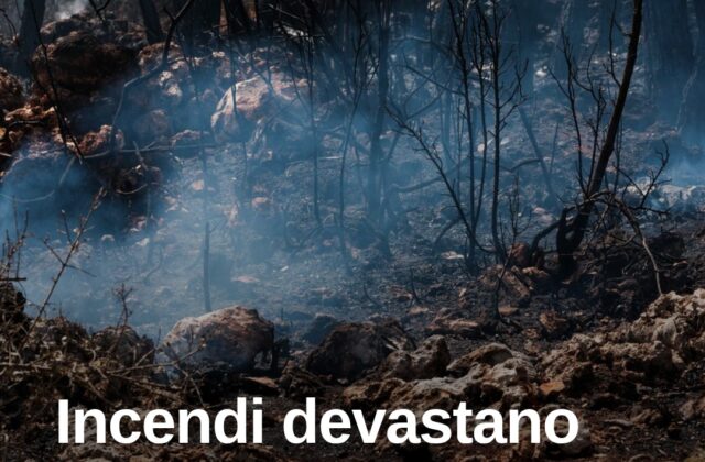 Incendi in Sardegna, fiamme anche in Gallura: centinaia gli ettari bruciati