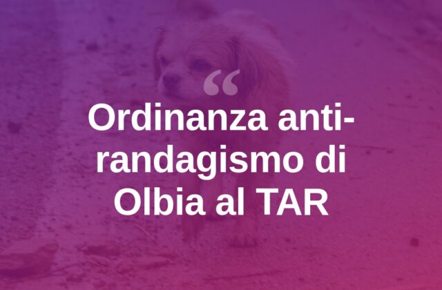 Olbia, ordinanza sui cani impugnata al TAR: Comune si difende