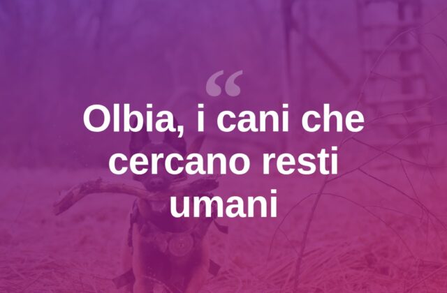 Olbia, Quarcy e Rocky: i cani che cercano resti umani