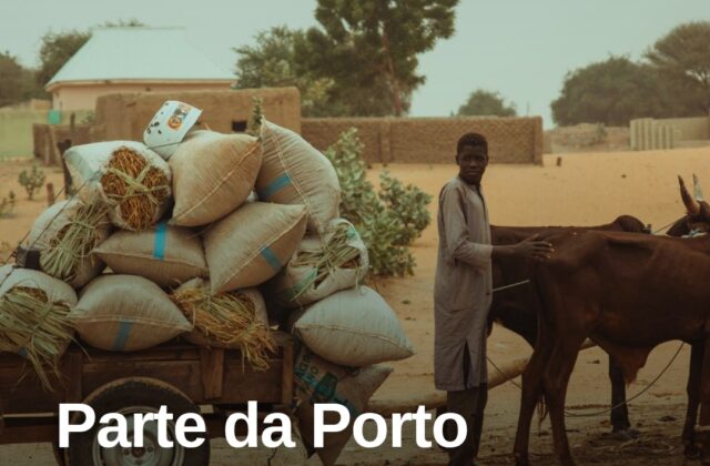 Da Porto Pozzo a Nuoro, in viaggio con il carro a buoi