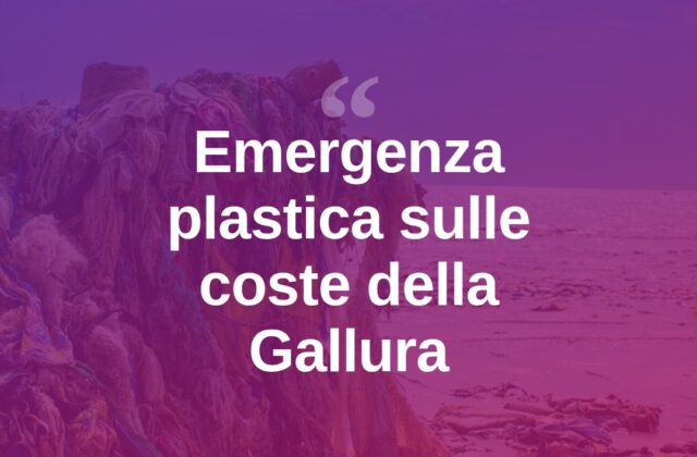 Plastica in mare, l’allarme sulle coste della Gallura
