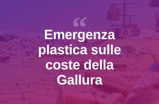 Plastica in mare, allarme sulle coste della Gallura