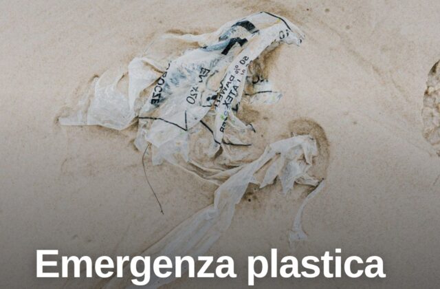 Rifiuti di plastica sulle spiagge della Gallura, allarme ambientale