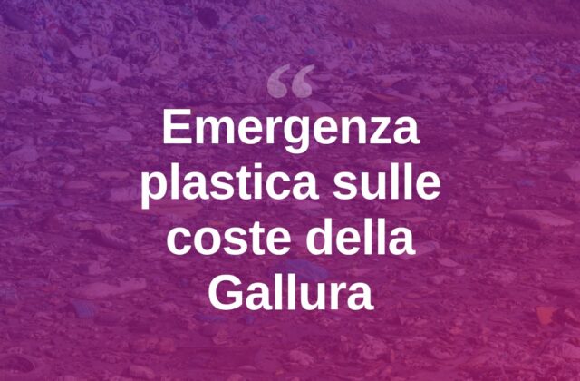 Plastica in mare, allarme sulle coste della Gallura