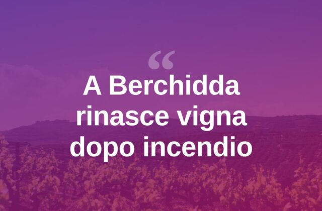 Berchidda, dalle ceneri dell’incendio 250 vitigni sardi