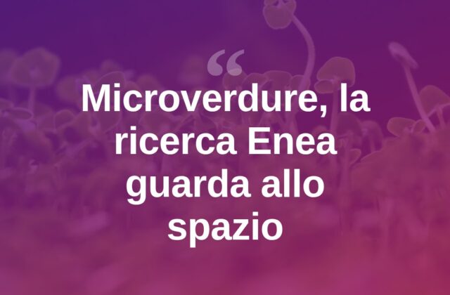 Microverdure per l’astronauta: la ricerca guarda allo spazio
