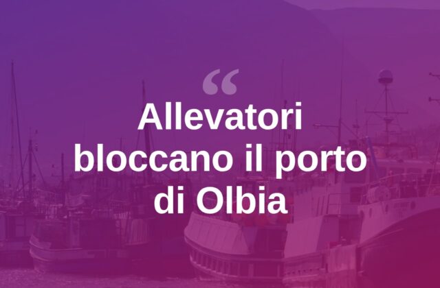 Dermatite bovina, allevatori bloccano il porto di Olbia
