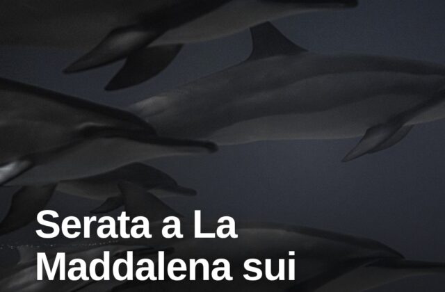 La Maddalena, una serata dedicata ai cetacei del Santuario Pelagos