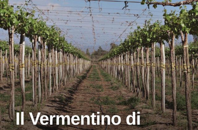 Il Vermentino di Gallura rinasce a Monteboro