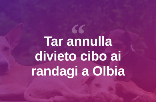 Tar boccia Olbia: si può dare da mangiare ai randagi