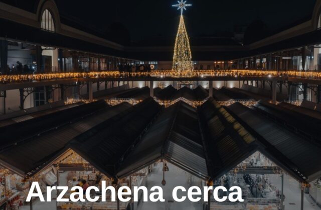 Arzachena, il Comune cerca idee per il Natale 2026