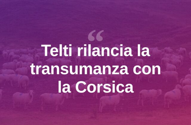 Telti, patto con la Corsica: rinasce il pastoralismo a Monte Pino