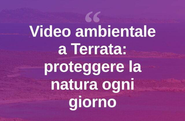 Pitta Wild, un video da Terrata sulla tutela dell’ambiente