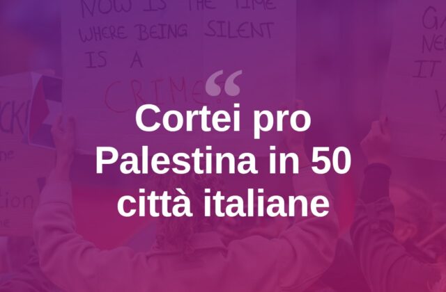 Mobilitazione pro Palestina in 50 città, Greta a Napoli