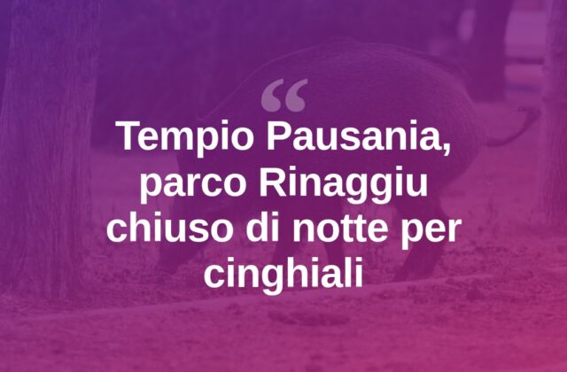 Tempio, il parco di Rinaggiu chiude la notte per i cinghiali