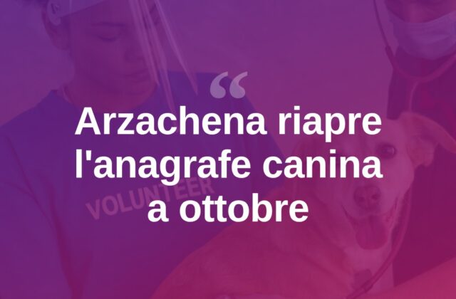 Arzachena, al via l’anagrafe canina: come prenotare a ottobre