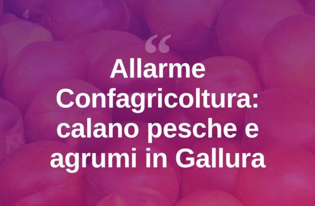 Pesche e agrumi, raccolti in calo: l’allarme di Confagricoltura